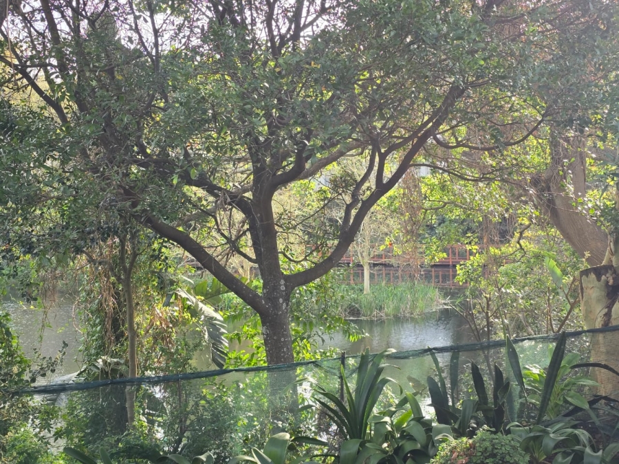 To Let 3 Bedroom Property for Rent in Selborne Eastern Cape